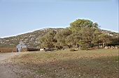 Piana del Golgo